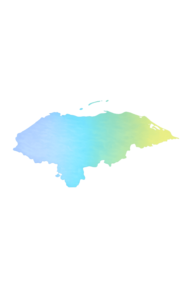 Vietnam map in TradeImeX blue and green theme