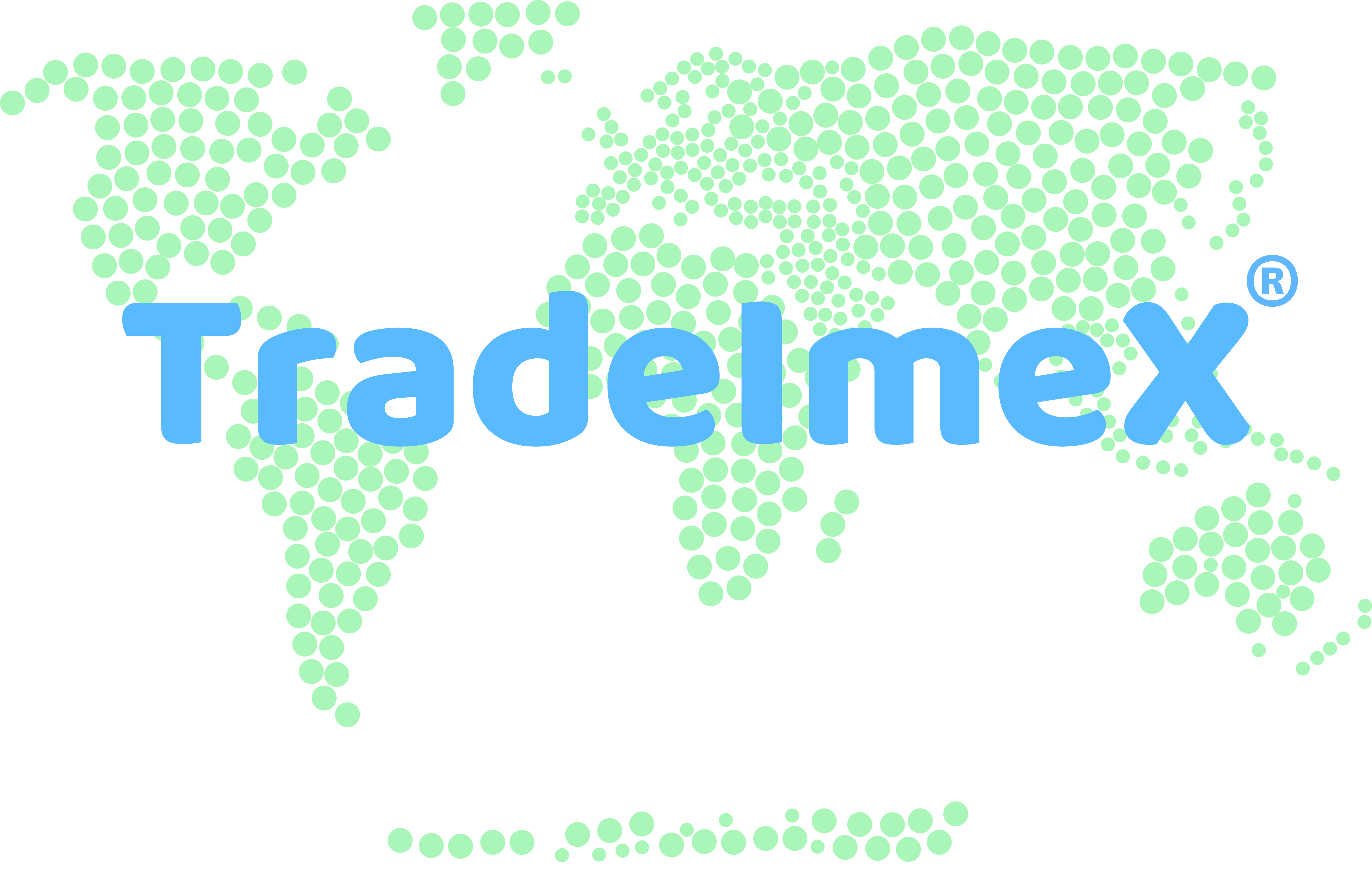 TradeImeX Logo